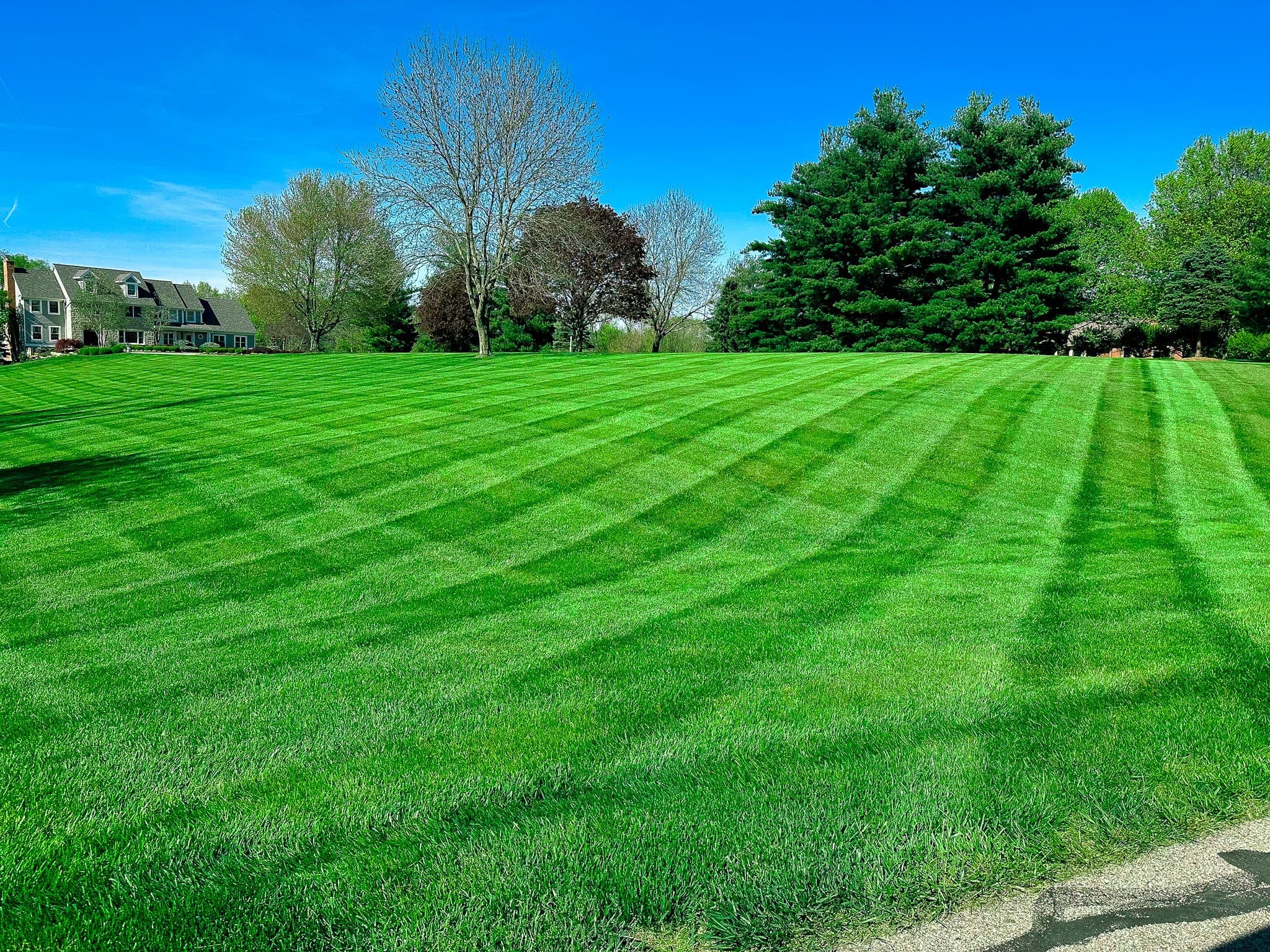 How Often Should You Really Service Your Lawn?