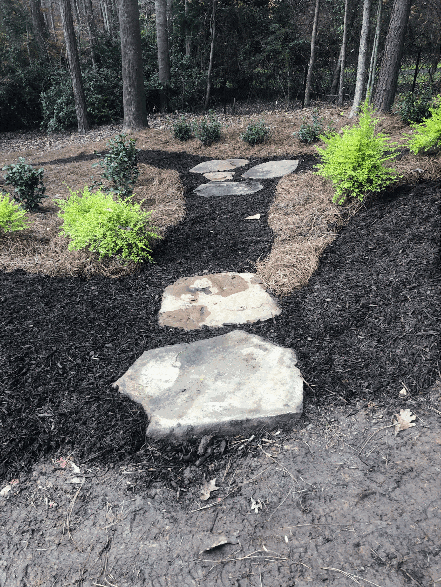 New Construction Sod Project