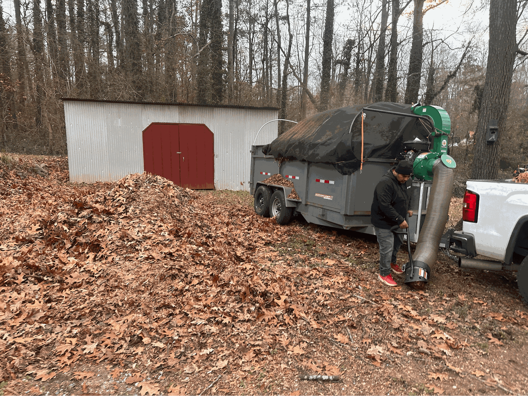 Lawn Maintenance in Smyrna