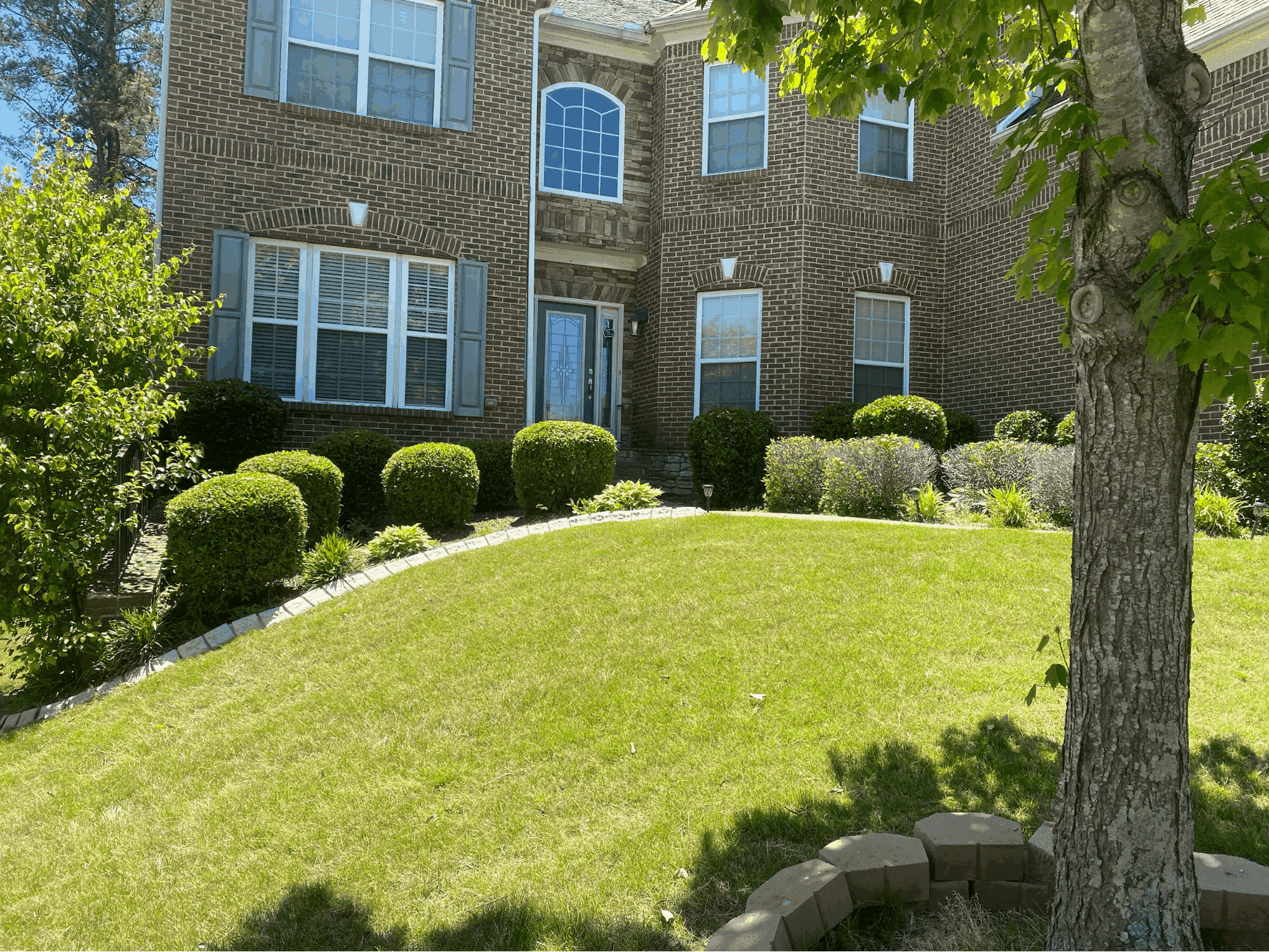 Weekly Lawn Care in Market Village