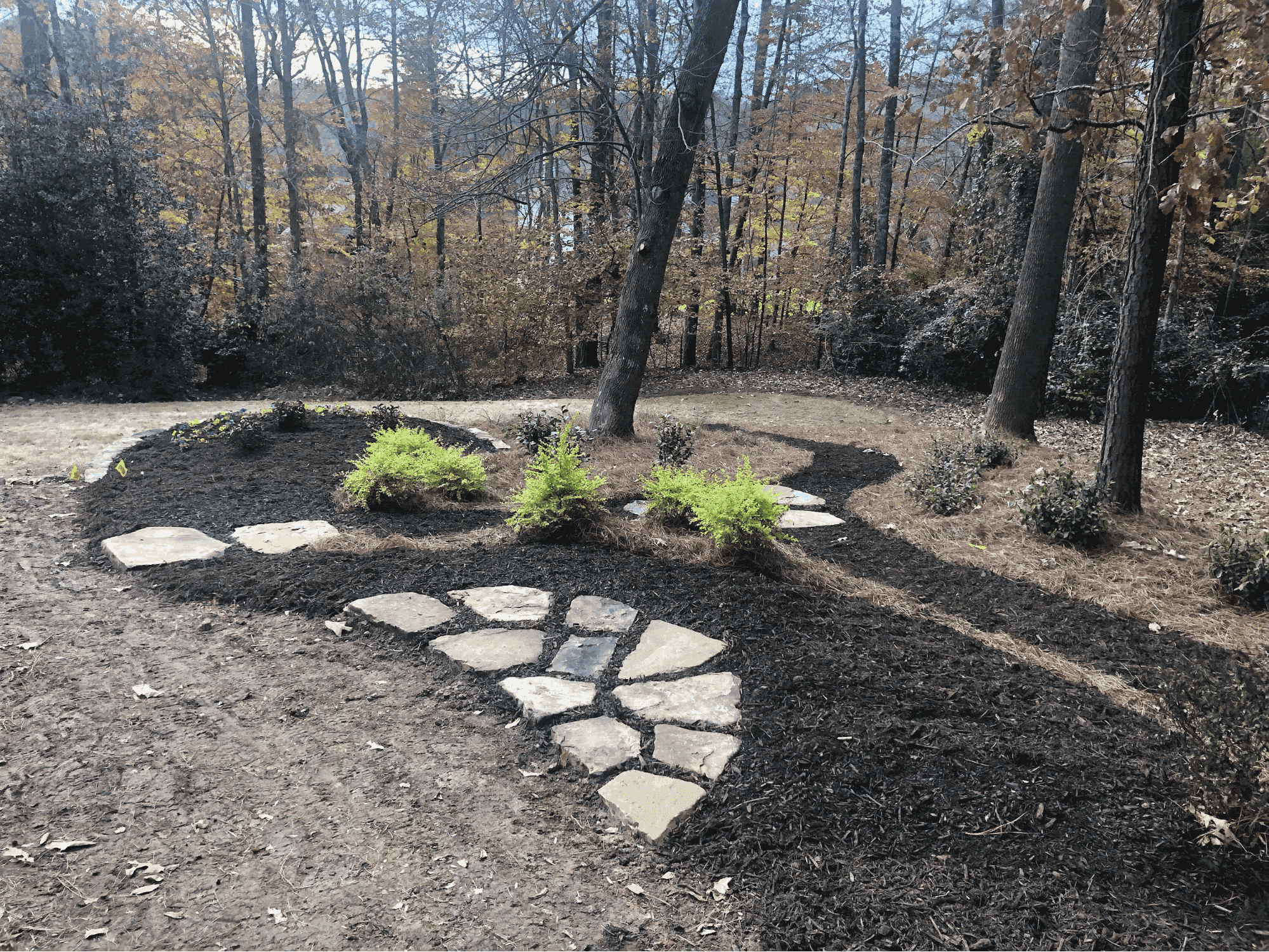 Lawn Hoppers - Professional Lawn Care