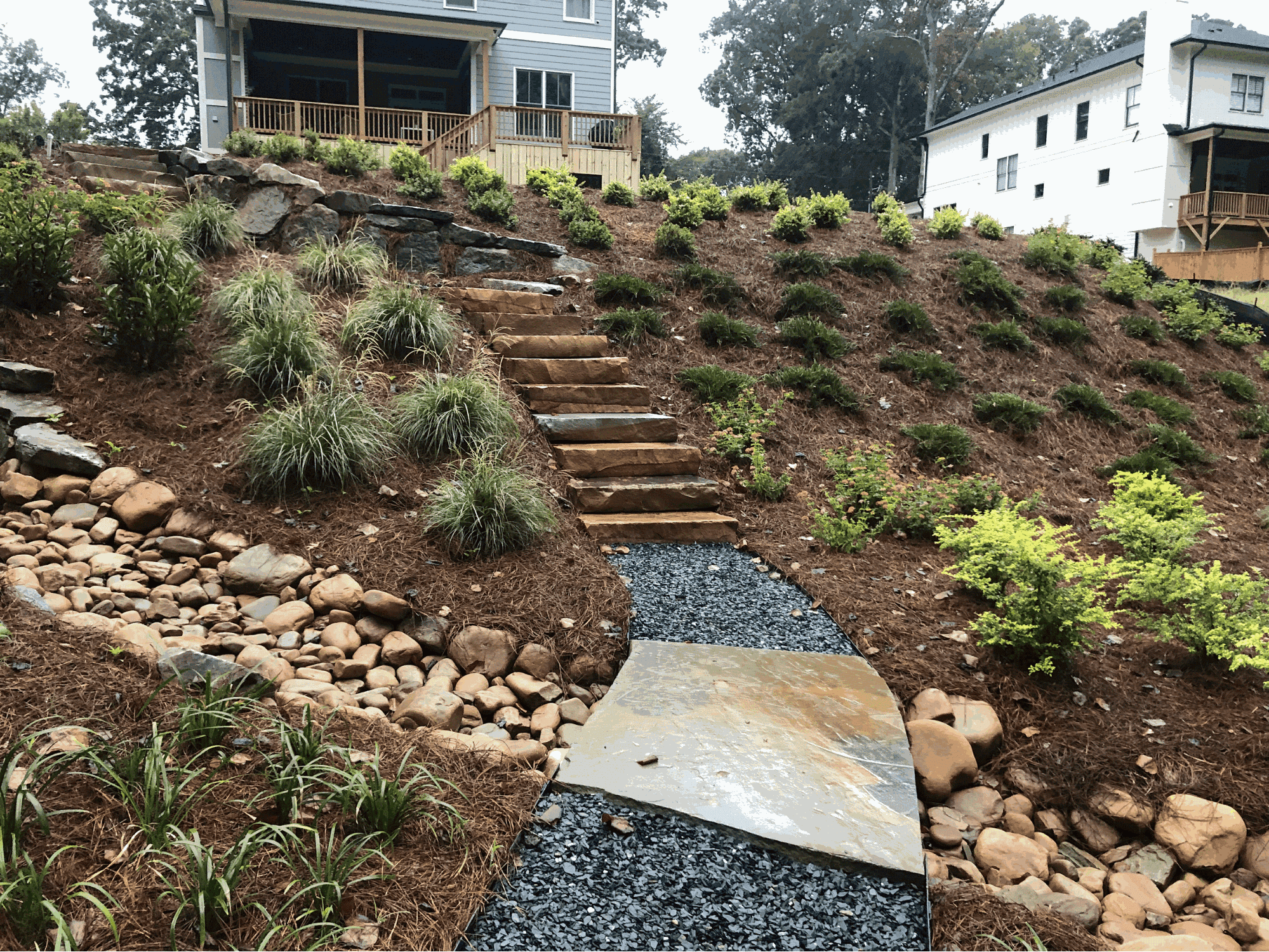 Weed & Pest Pressure in Georgia Lawns: Prevention, Treatment & Long-Term Health