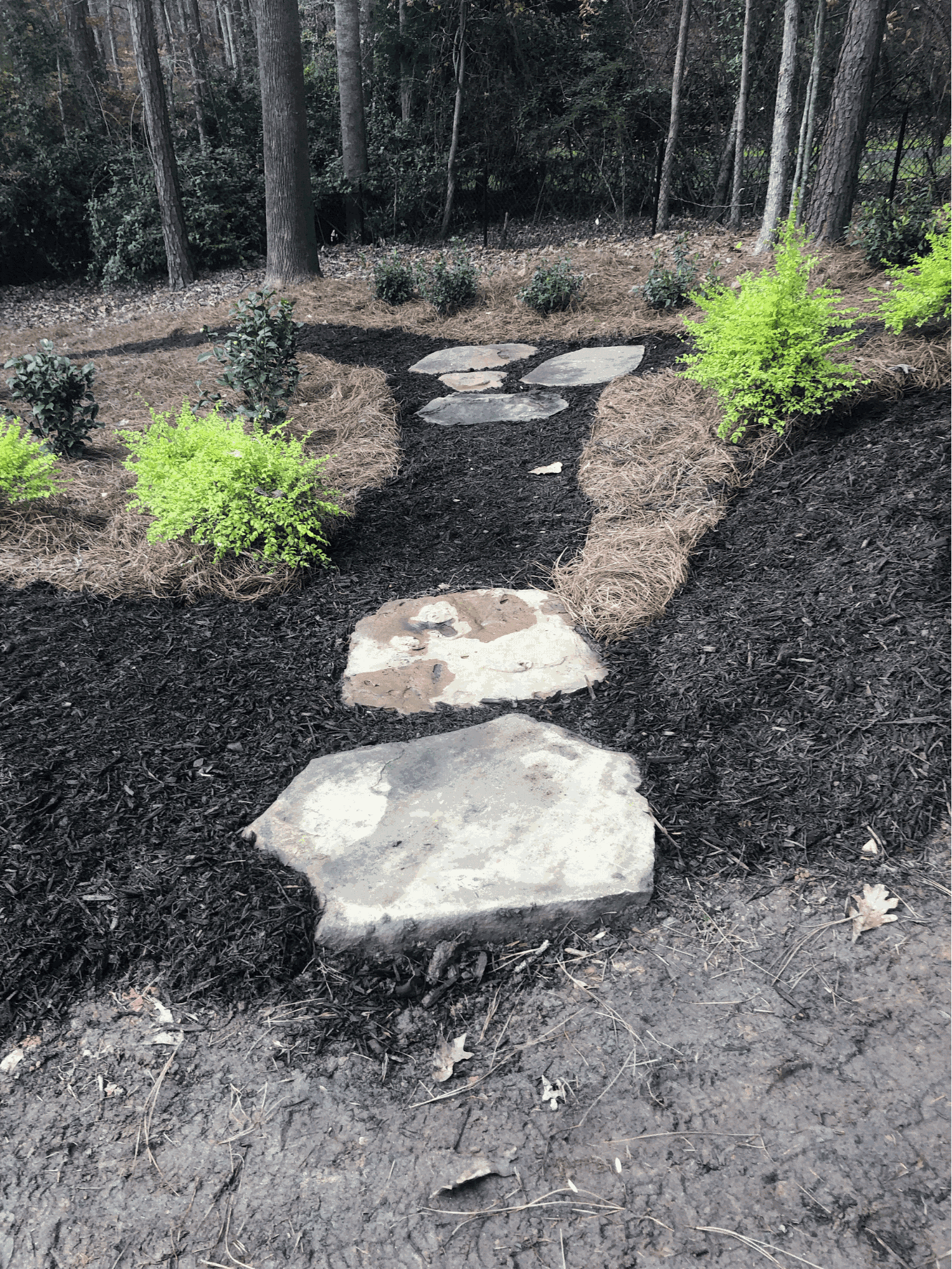 Lawn Hoppers - Professional Lawn Care