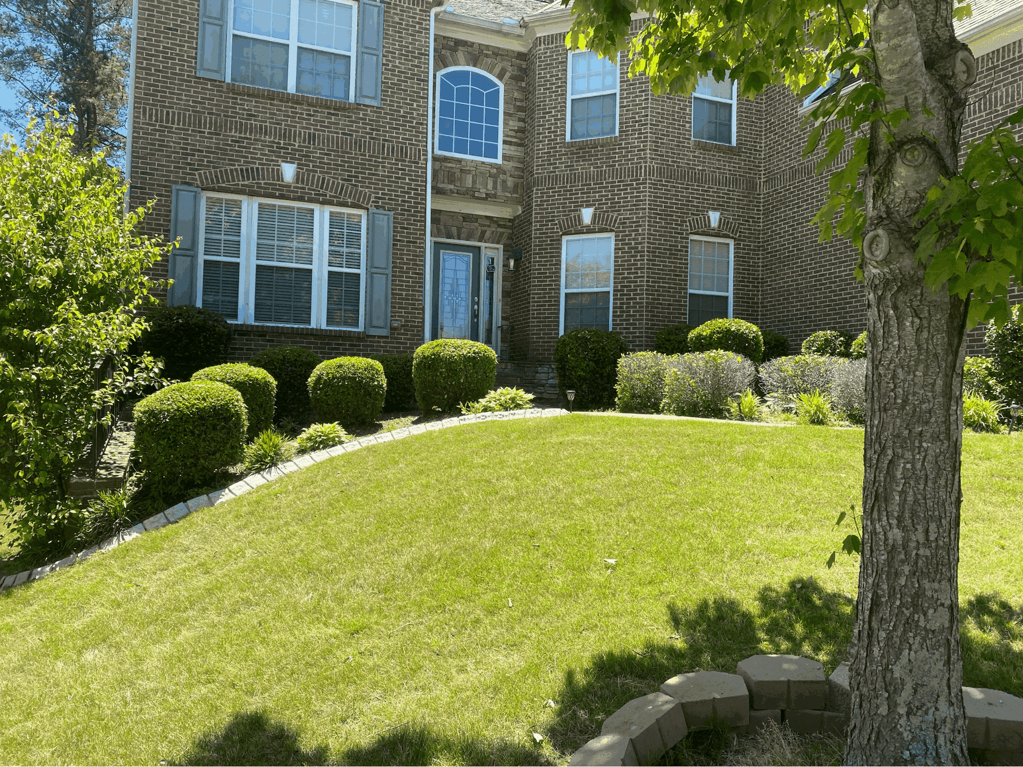 Lawn Hoppers - Professional Lawn Care