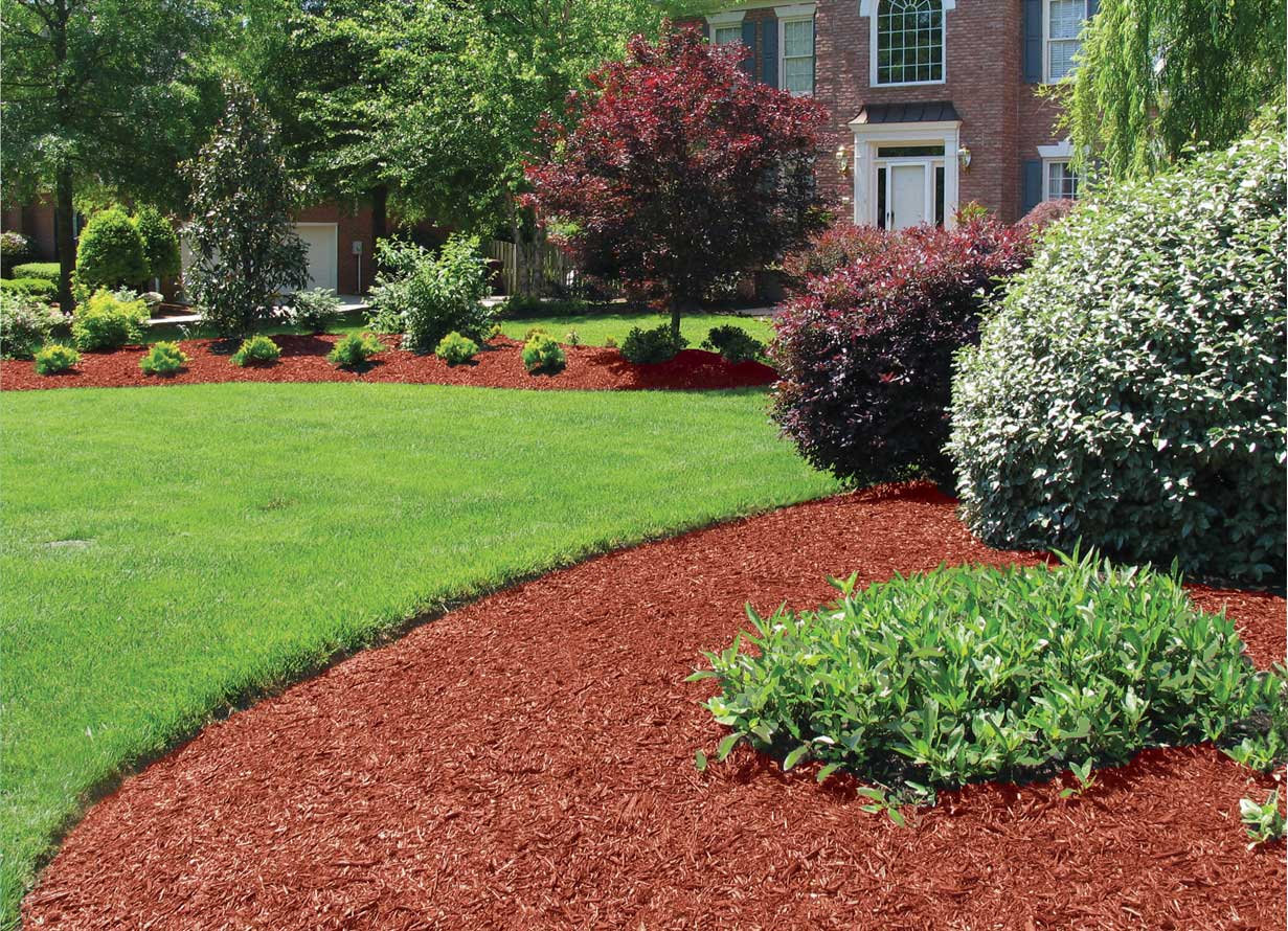Dark mulch landscaping