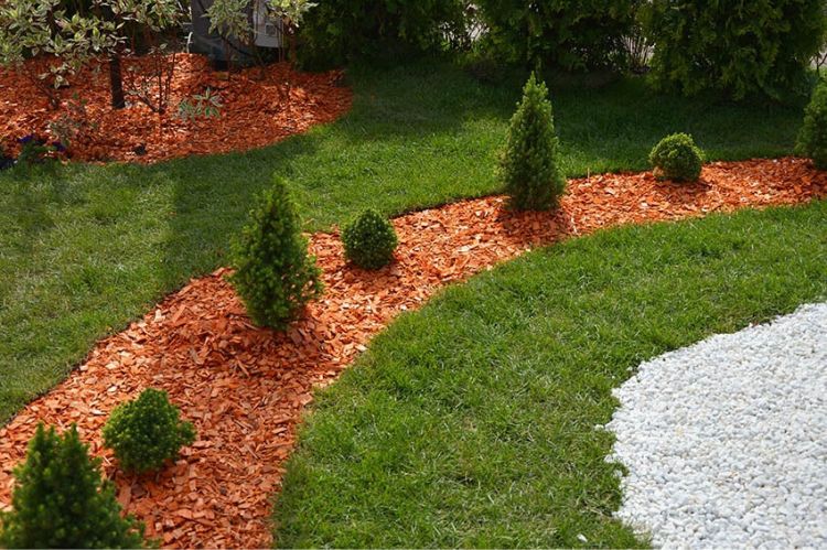 Mulch in garden bed