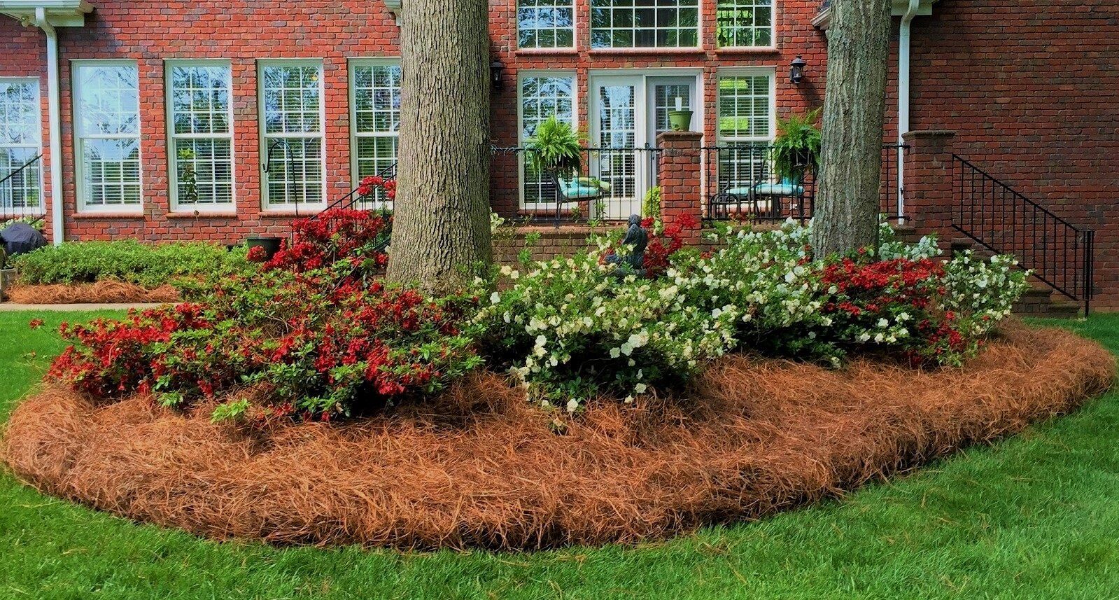 Pine straw landscape bed
